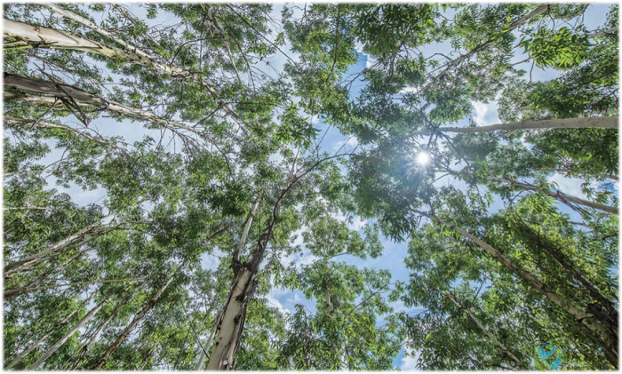 圖片1.png 圖片1.png