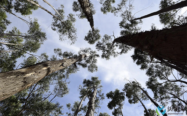 微信圖片_20220815151113.png 微信圖片_20220815151113.png