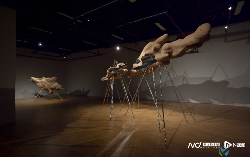 南方10.png 南方10.png