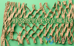 蜂窩紙的優(yōu)勢(shì)在哪兒？