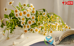 什么是輕型紙？