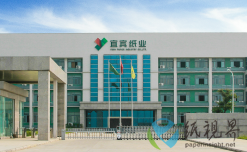 上半年收官！宜賓紙業(yè)表現(xiàn)如何？