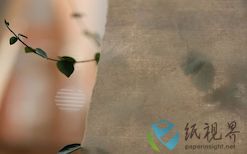 四川蟬翼竹紙 夾江竹紙 手工紙