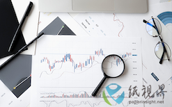 外盤挺價(jià)與內(nèi)需疲軟博弈下的紙漿市場(chǎng)